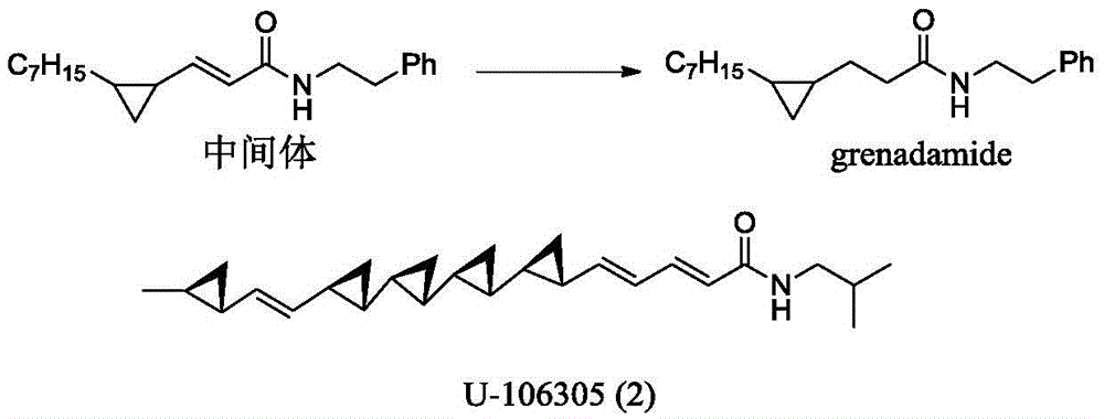 Cyclopropyl alkenyl amide derivative and synthesizing method thereof