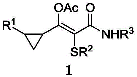 Cyclopropyl alkenyl amide derivative and synthesizing method thereof