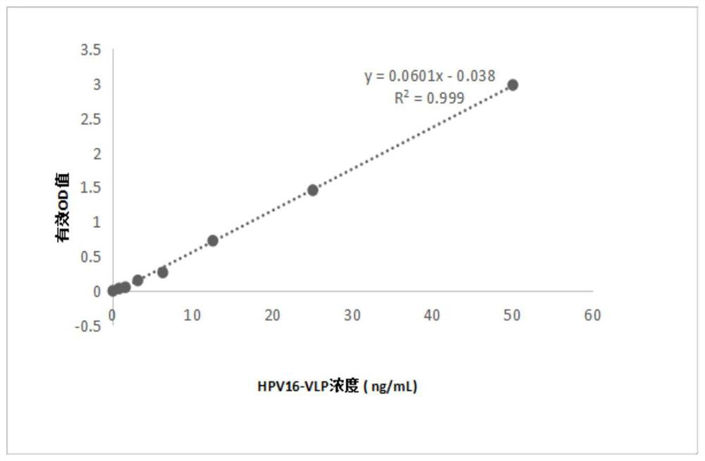 Anti-HPV16 L1 protein monoclonal antibody and detection method applying same