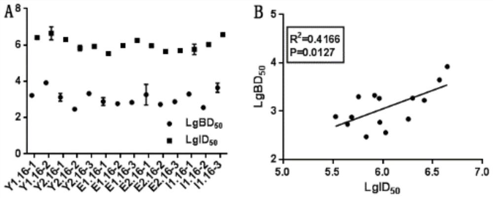 Anti-HPV16 L1 protein monoclonal antibody and detection method applying same