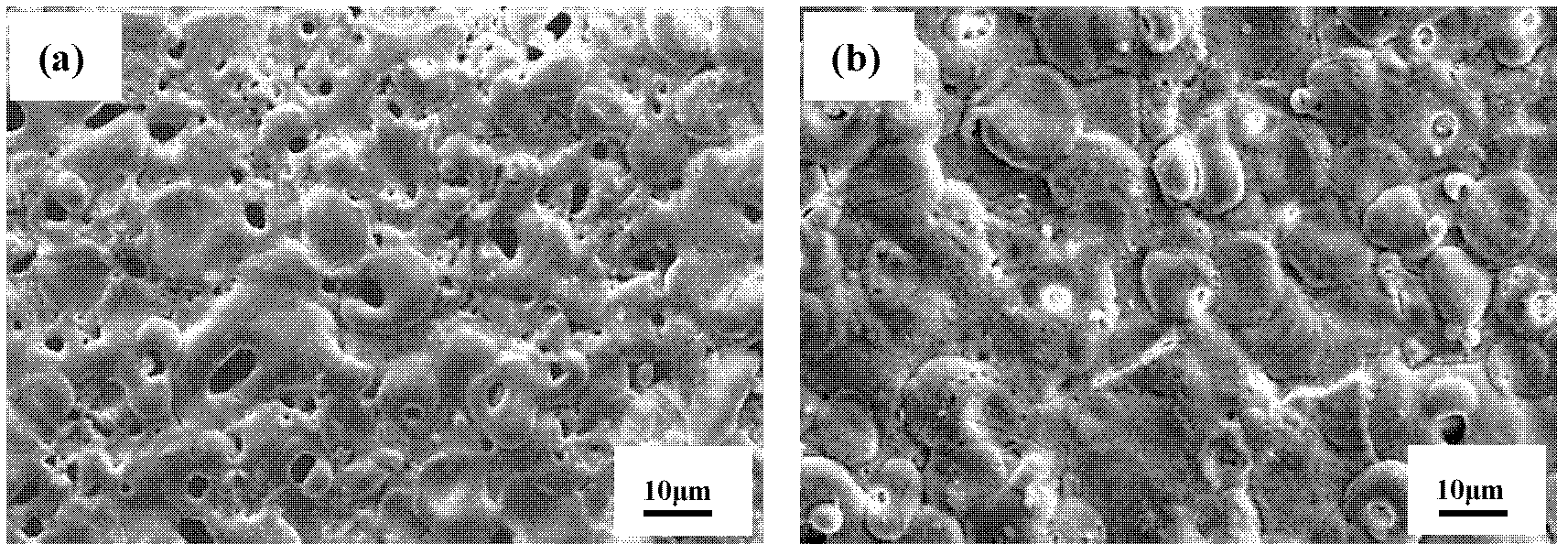 Micro-arc oxidation preparation method of high wear resistant and corrosion resistant self-lubricating ceramic layer and electrolyte thereof
