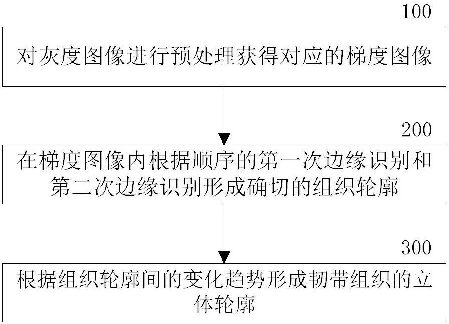 Ankle ligament separation method and separation system in medical imaging