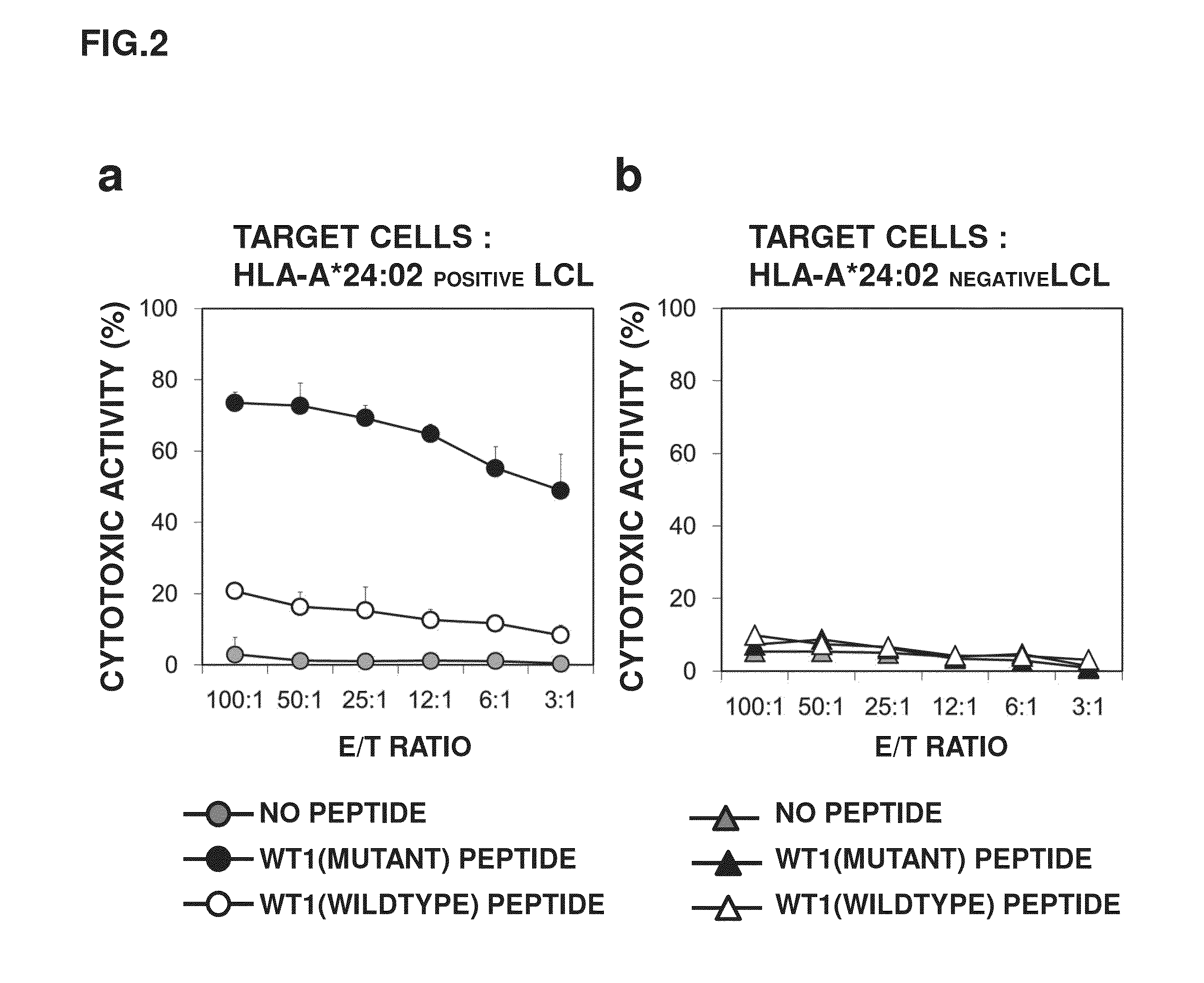 T cell receptor and uses thereof