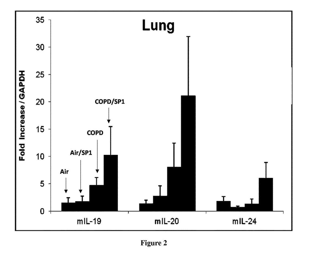 Treatment of acute exacerbations of chronic obstructive pulmonary disease by antagonism of the il-20r