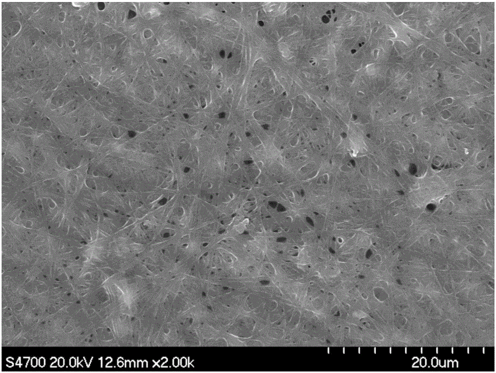 A method for preparing fluorescent nanofibers based on photografting surface modification