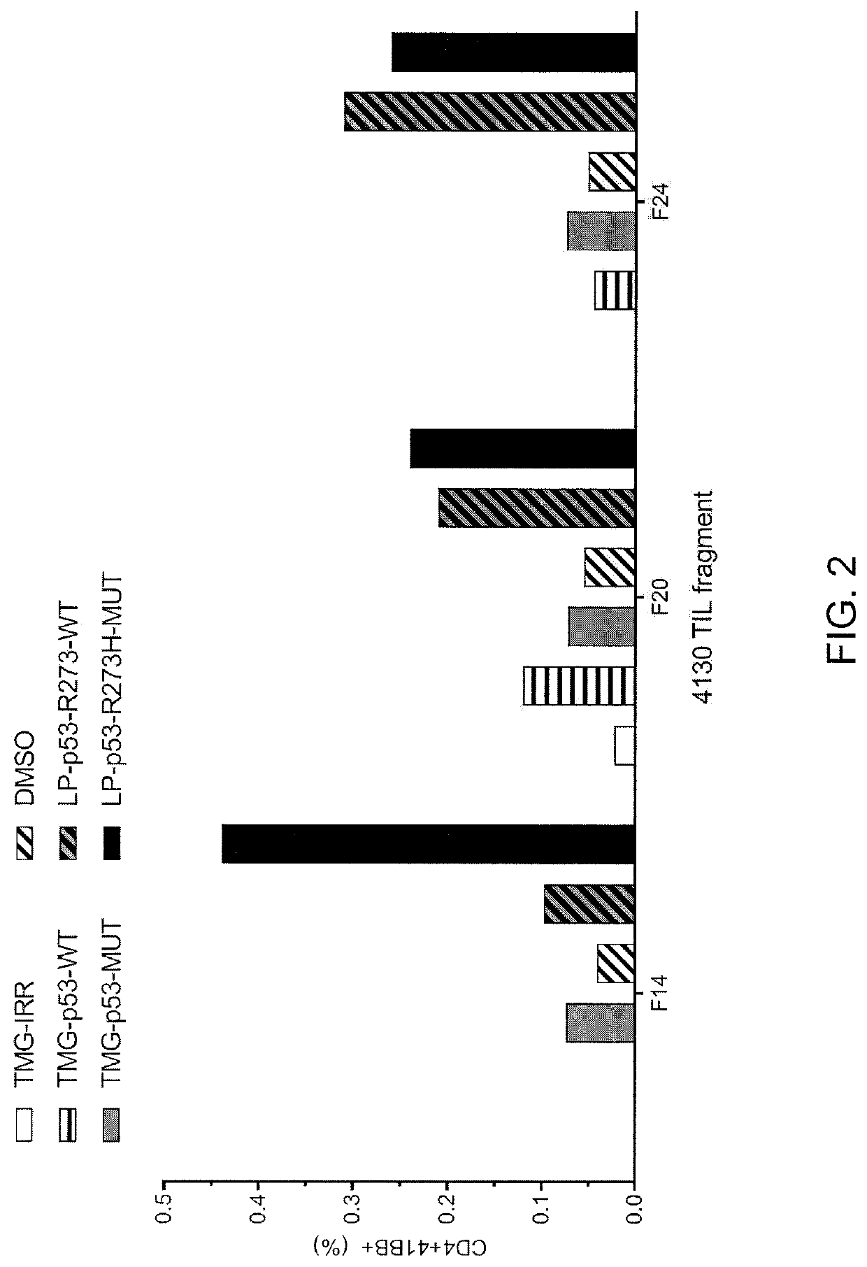 Methods of isolating t cells having antigenic specificity for a p53 cancer-specific mutation