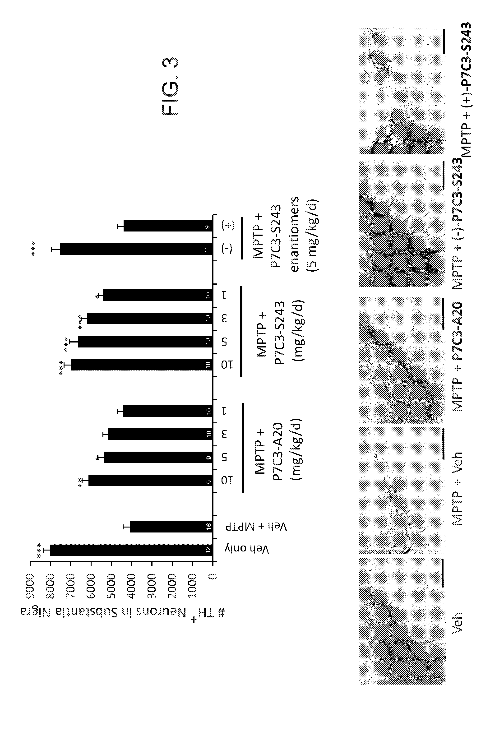 Neuroprotective Compounds and Use Thereof