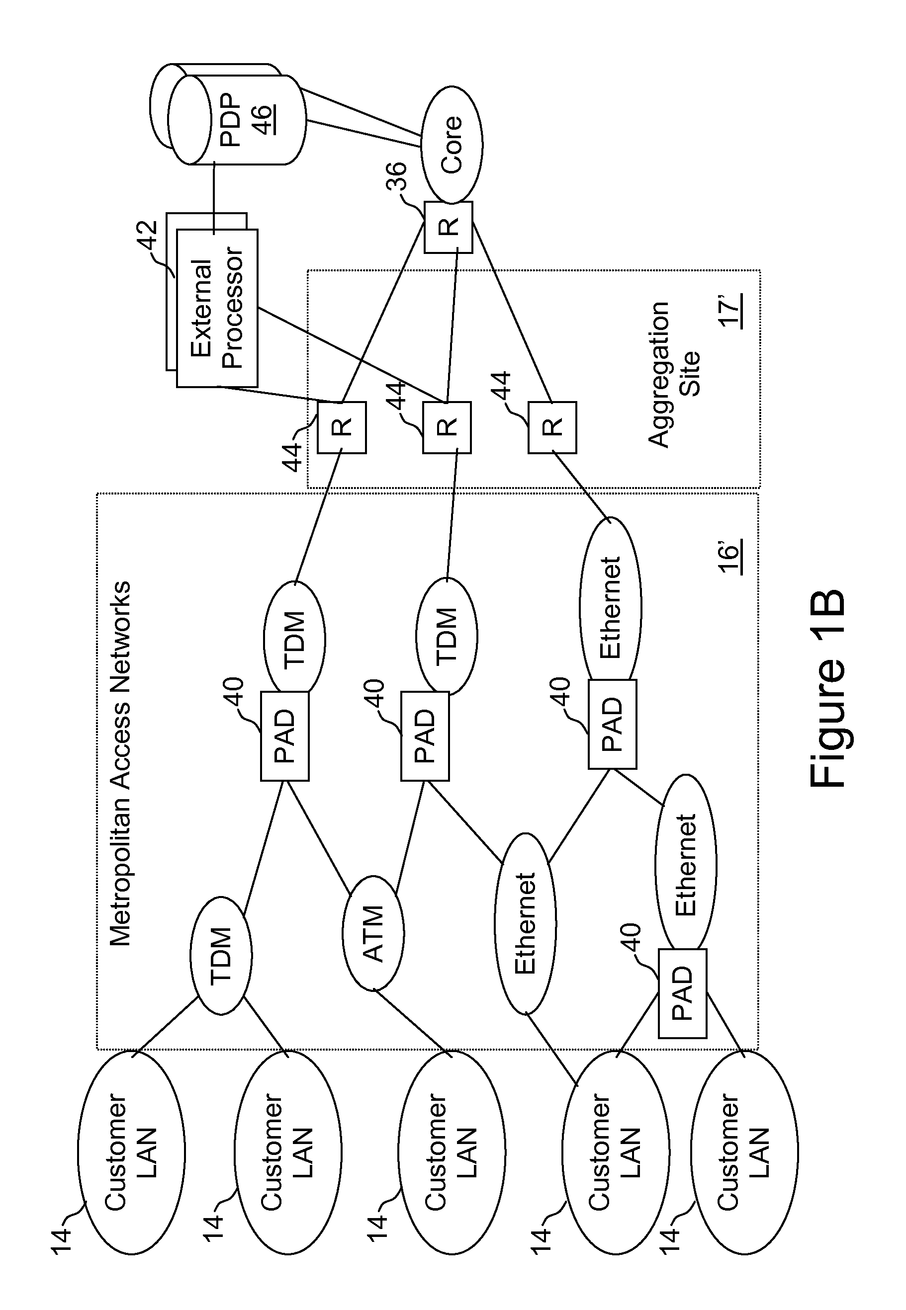 External processor for a distributed network access system