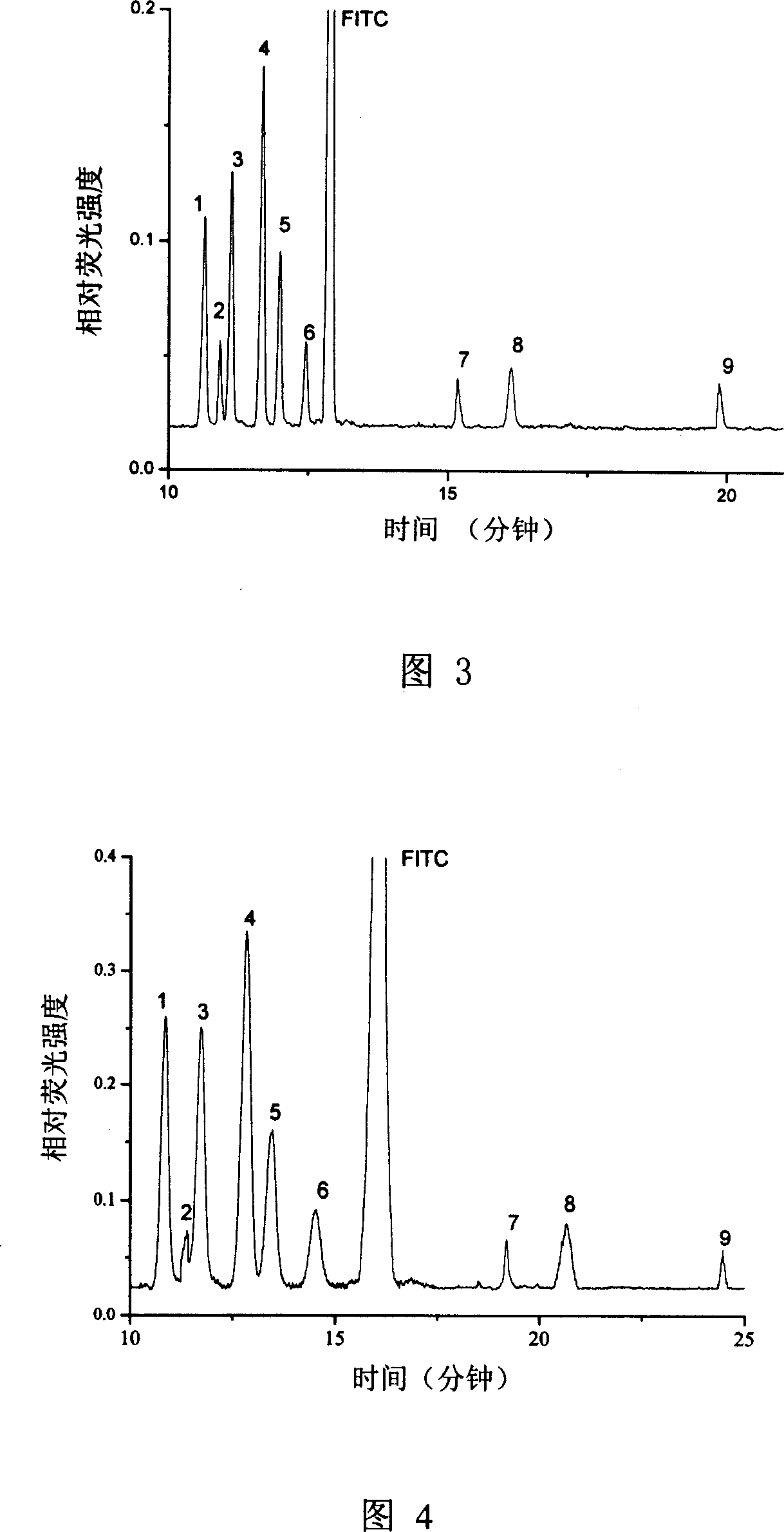 Detecting instrument on capillary cataphoretic-multi-photon excitation fluorescent column