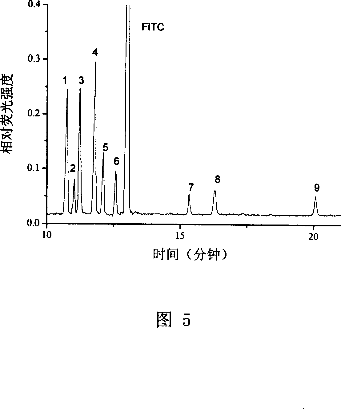 Detecting instrument on capillary cataphoretic-multi-photon excitation fluorescent column