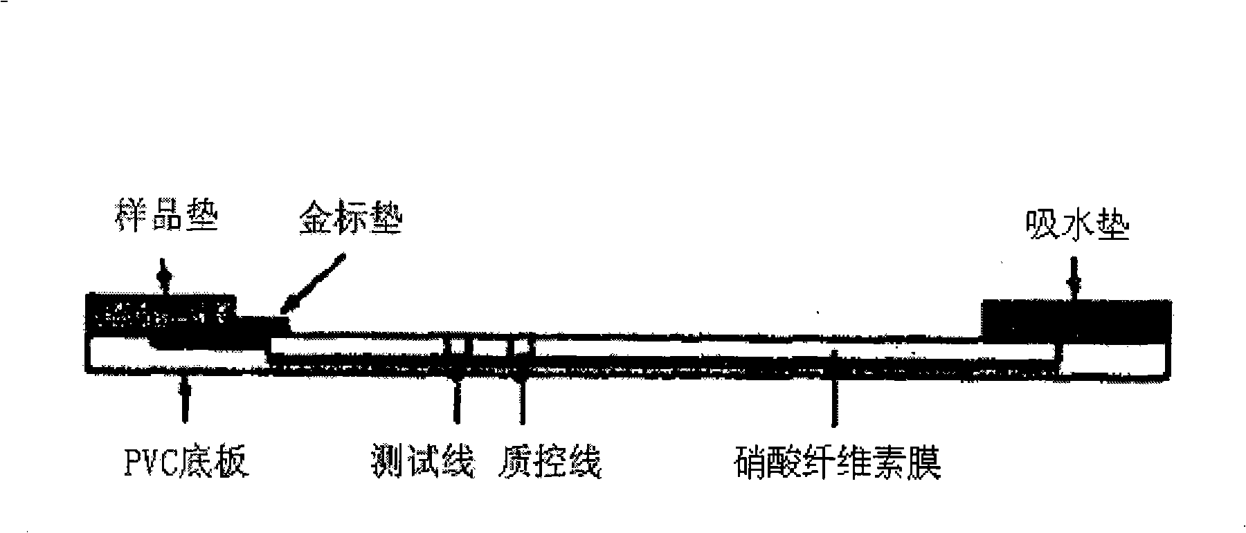 Immunity chromatography detection test paper for fussol poison and preparation method thereof