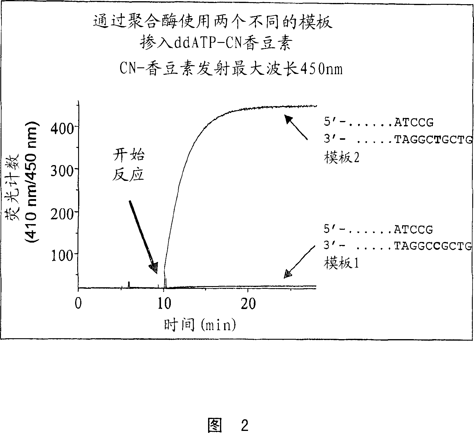 Terminal-phosphate-labeled nucleotides and methods of use