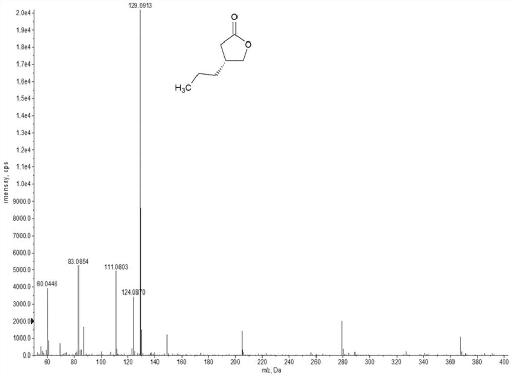 A kind of enone reductase and a kind of preparation method of buvaracetam intermediate