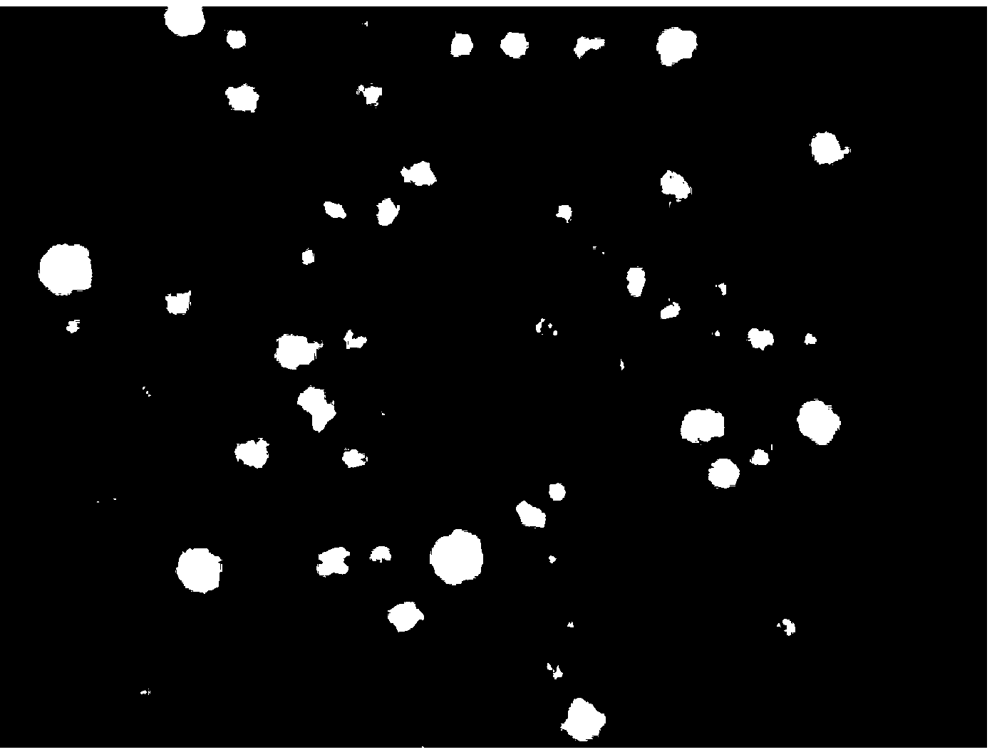 Method for transforming plant protoplast by RNA (Ribonucleic Acid) virus