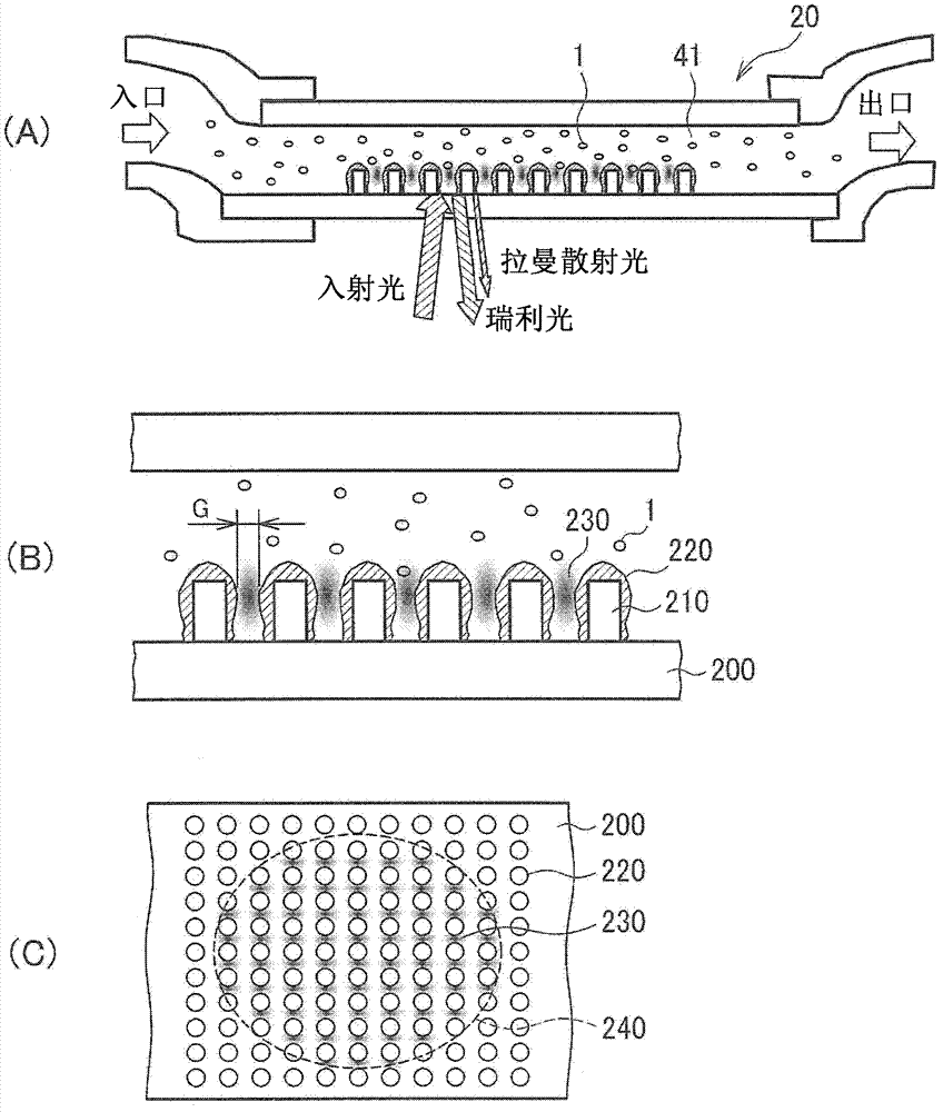 Detection device