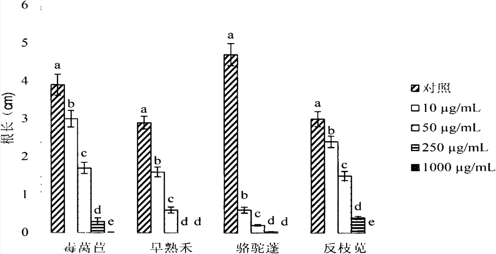 Herbicide application of xanthatin extracted from Xanthium italicum