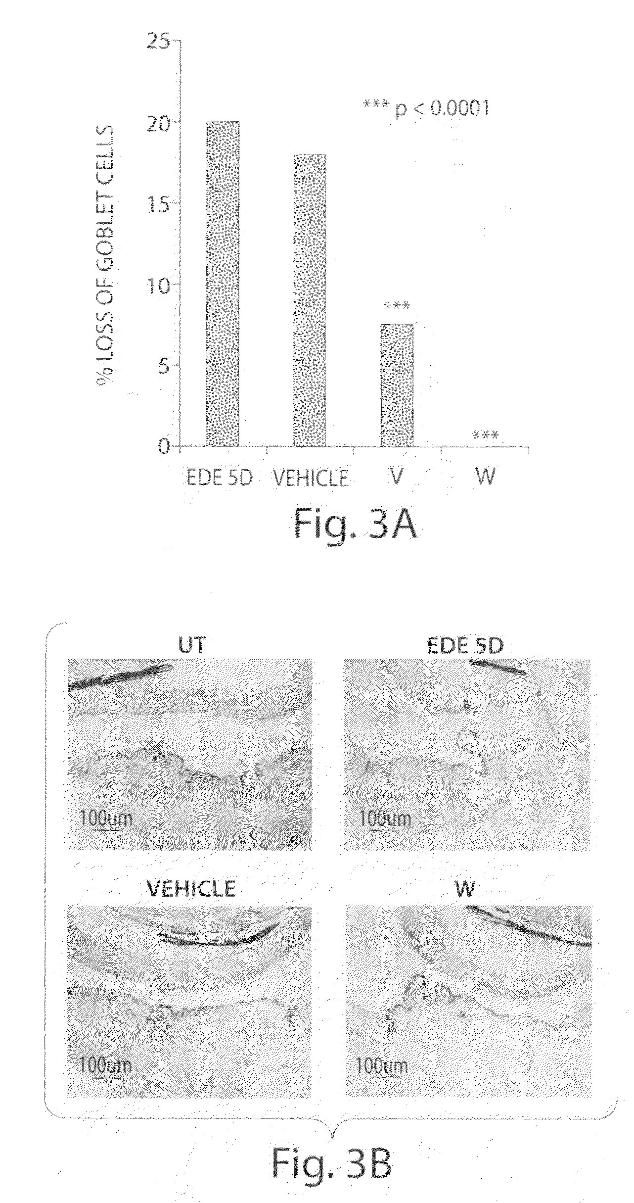 Compositions and methods for the treatment of ophthalmic conditions