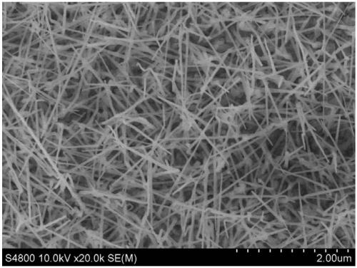 A kind of znse nano wire and its preparation method and application