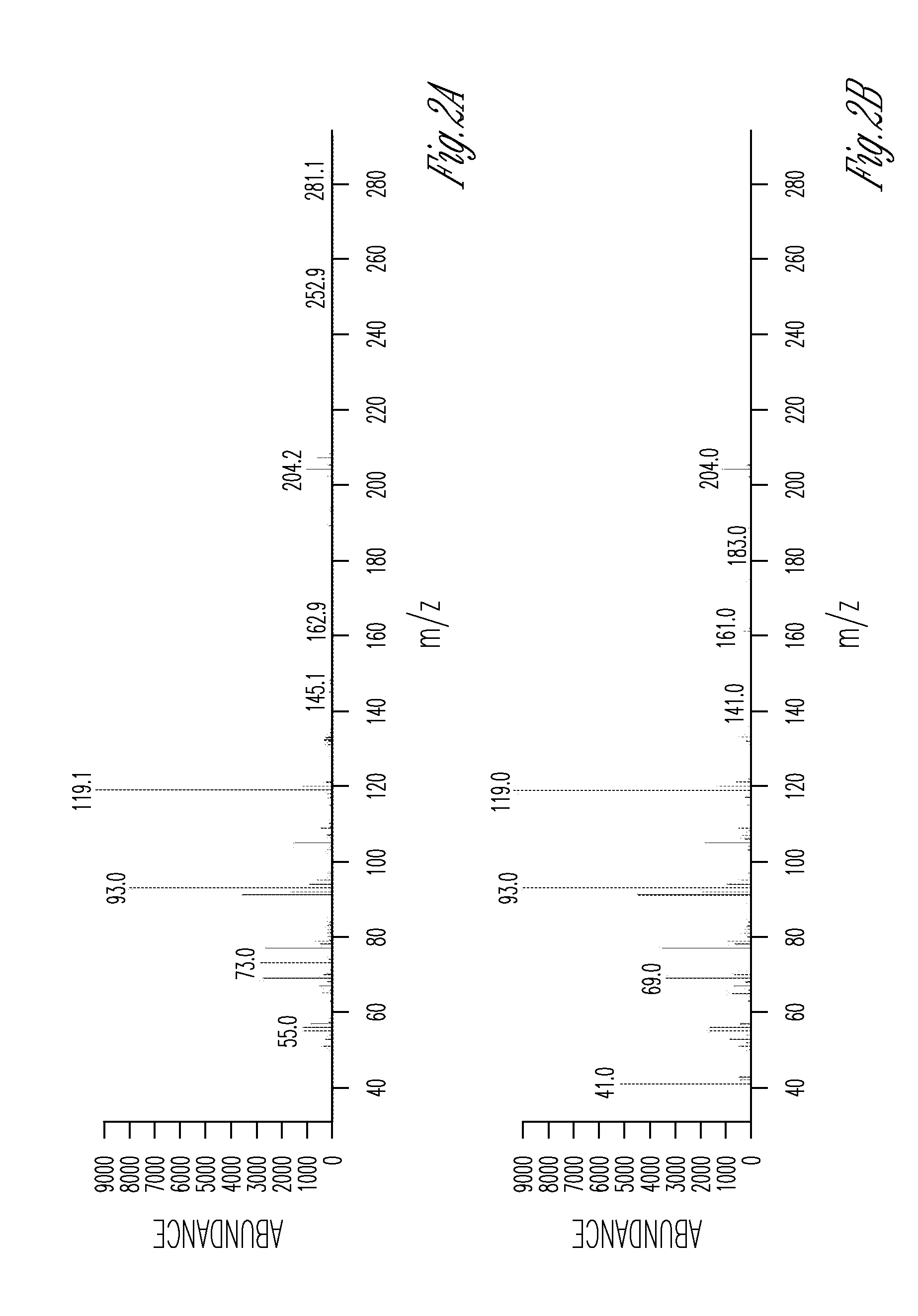 Enzymes that synthesize zingiberene