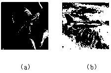 Color Image Blind Watermarking Method Based on Ternary Code