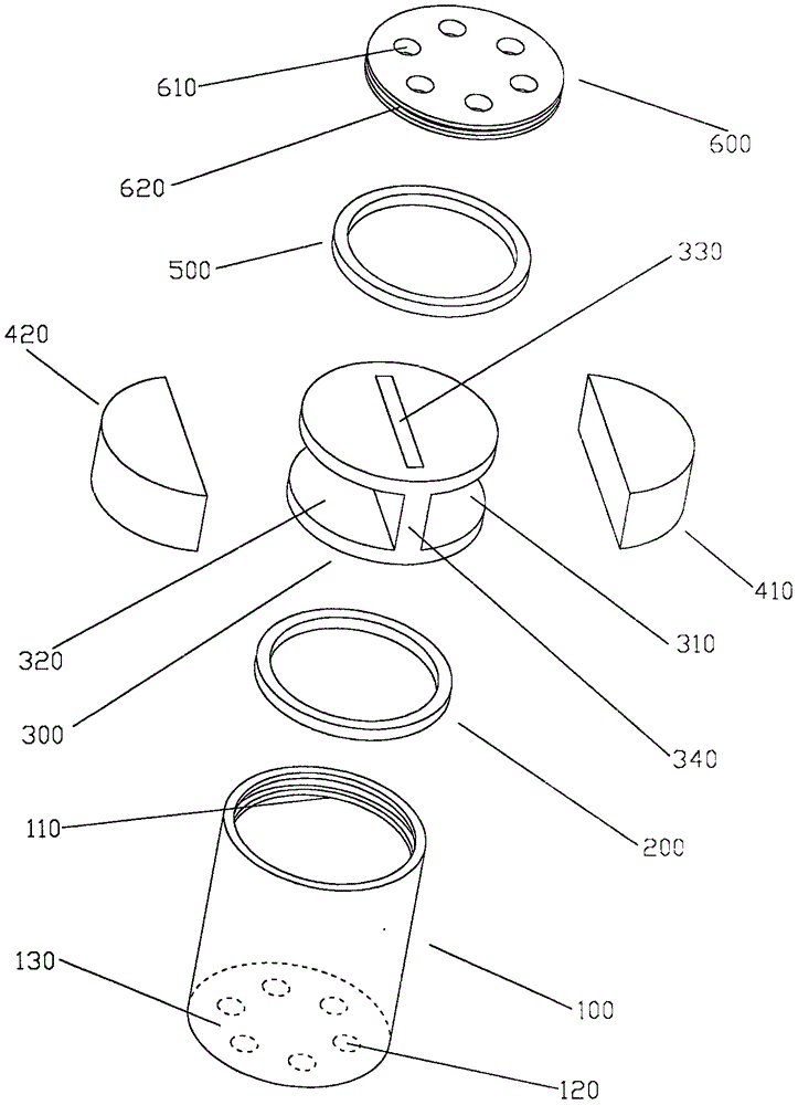 Magnetized ionized water device