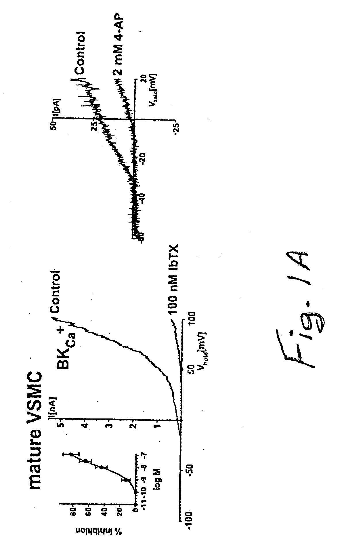 Compounds, Methods And Devices for Inhibiting Neoproliferative Changes in Blood Vessel Walls