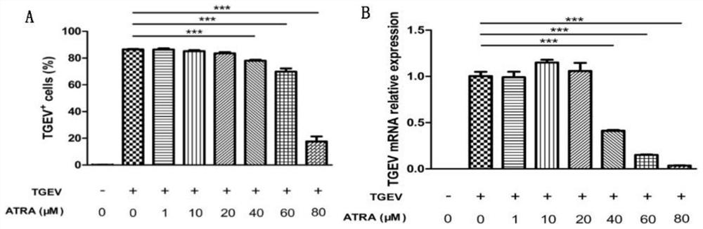 Application of all-trans retinoic acid in the preparation of anti-porcine infectious gastroenteritis virus drugs