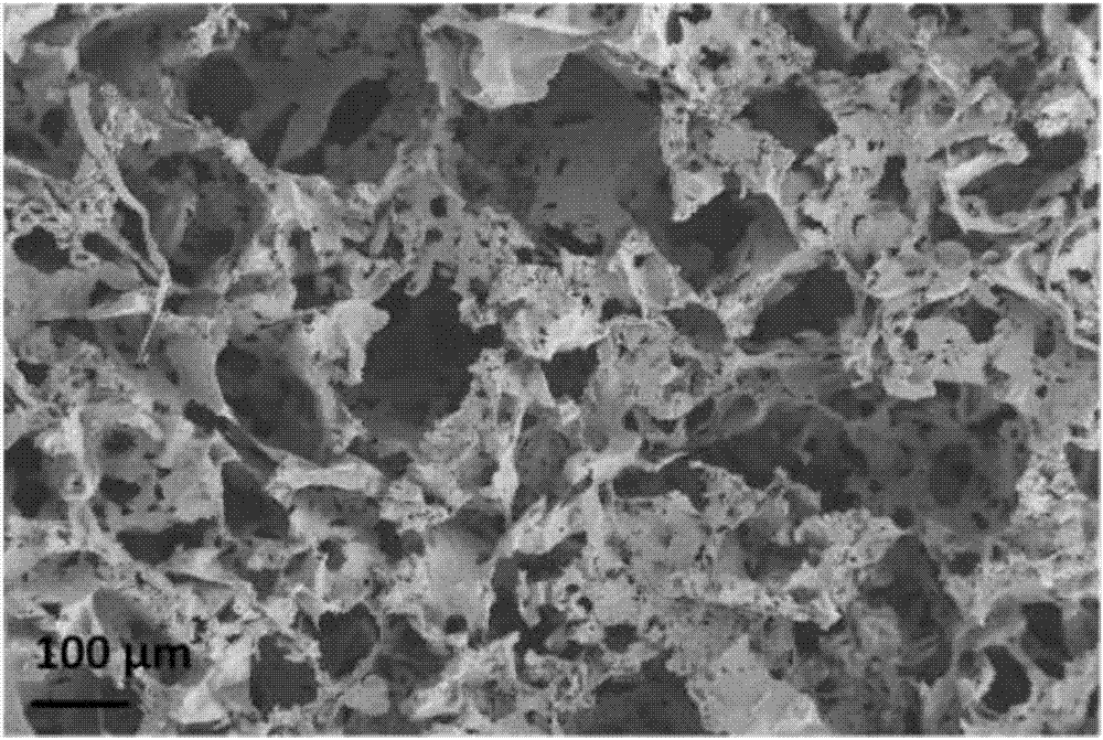 Calcium copper titanate (CCTO)/polydimethylsiloxane (PDMS) composite flexible foam as well as preparation method and application thereof