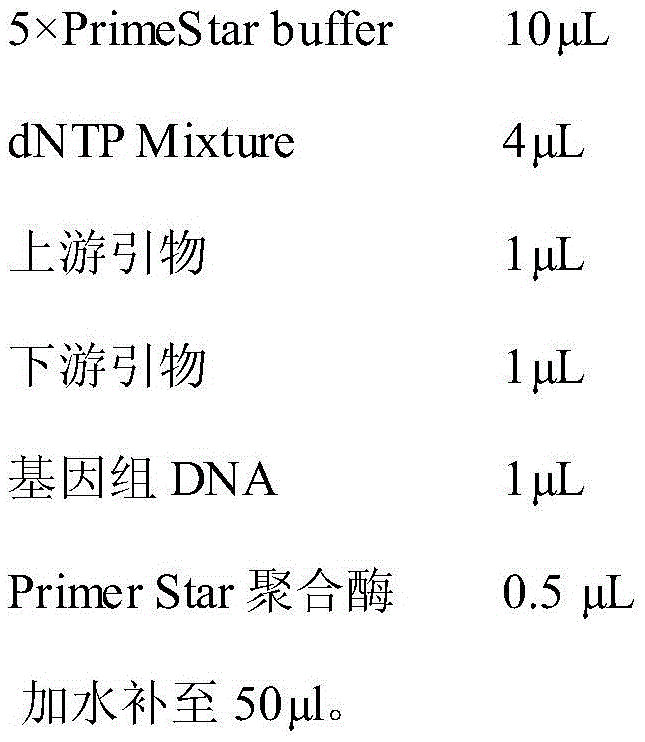 An Alkaline Pectinase Mutant with Improved Heat Stability