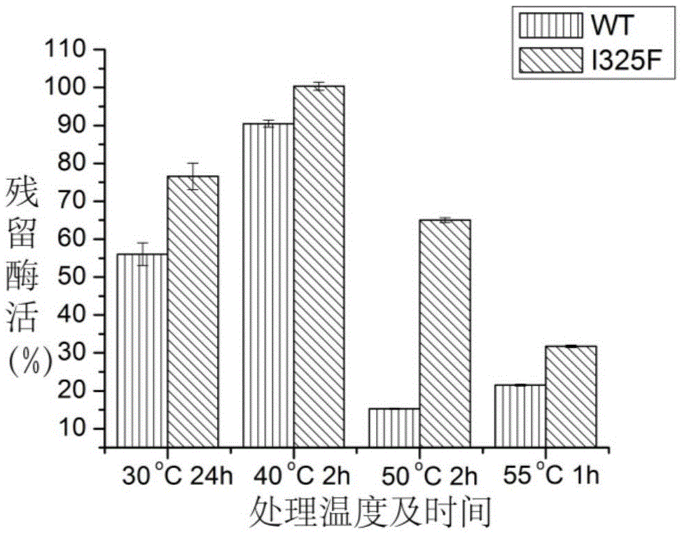 An Alkaline Pectinase Mutant with Improved Heat Stability