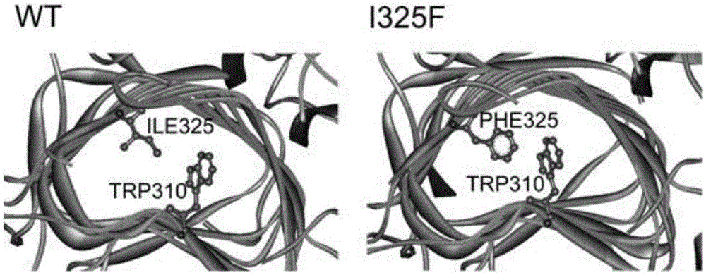 An Alkaline Pectinase Mutant with Improved Heat Stability