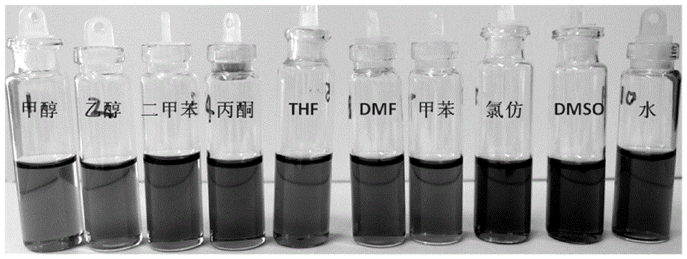 Preparation method of ionic-type amphiphilic functionalized graphene