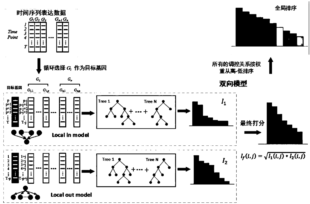 Establishment method of gene regulating network based on two-way XGBoost