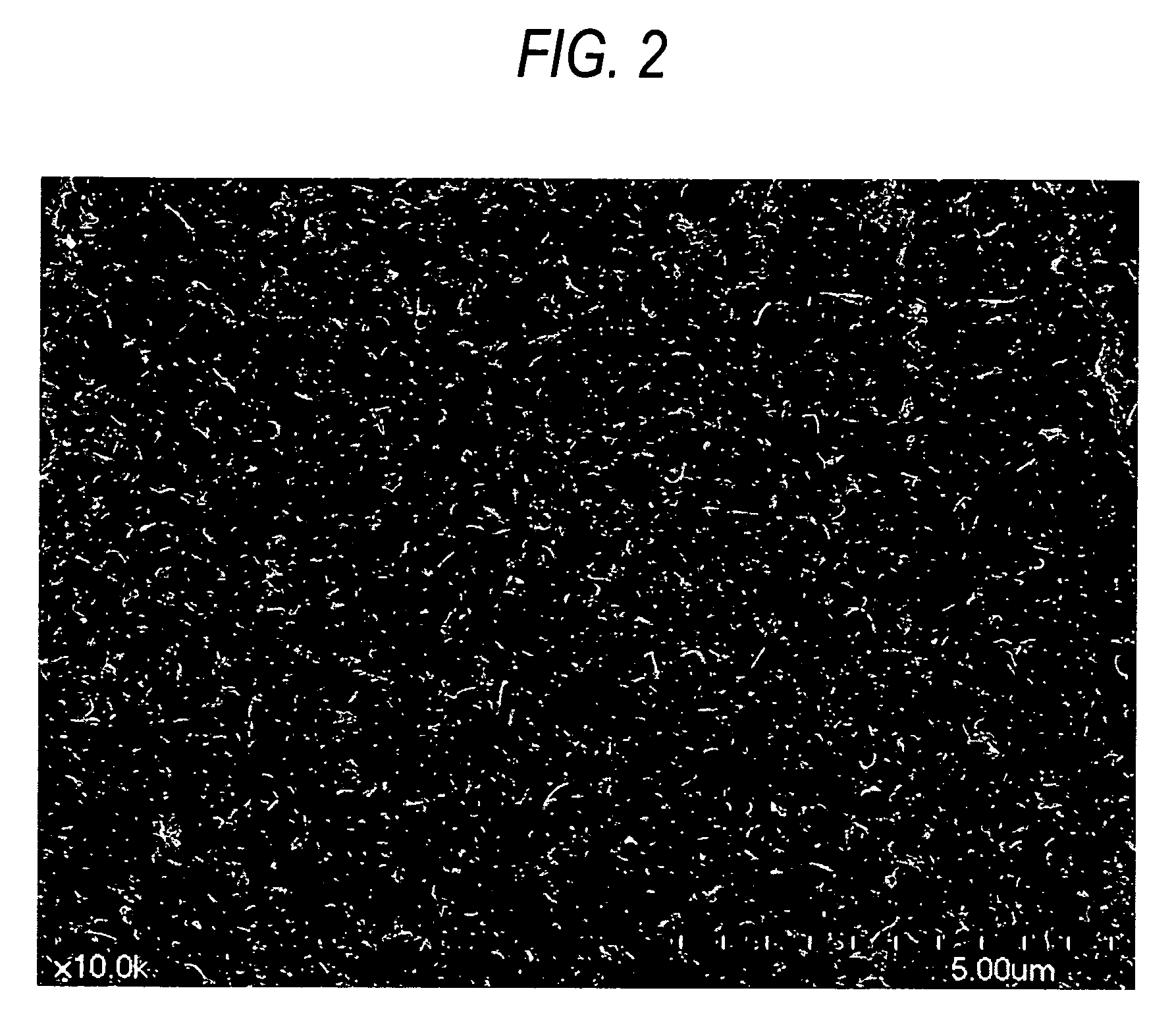 Carbon fiber composite material and process for producing the same