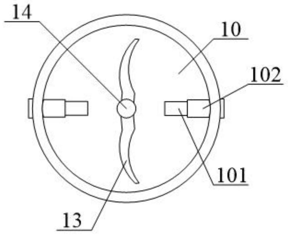 Timing feed feeding device based on rice field shrimp breeding technology