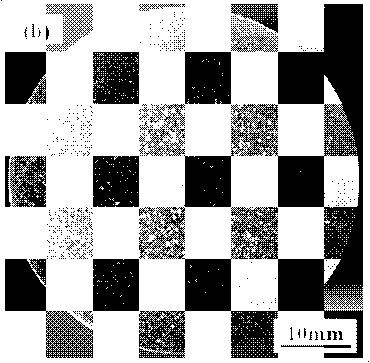 Magnesium-strontium-rare earth interalloy and preparation method thereof