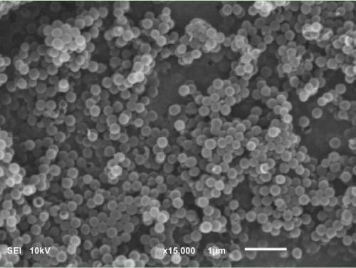 Preparation method of a mesoporous hollow nitrogen-doped carbon-coated copper nanocatalyst