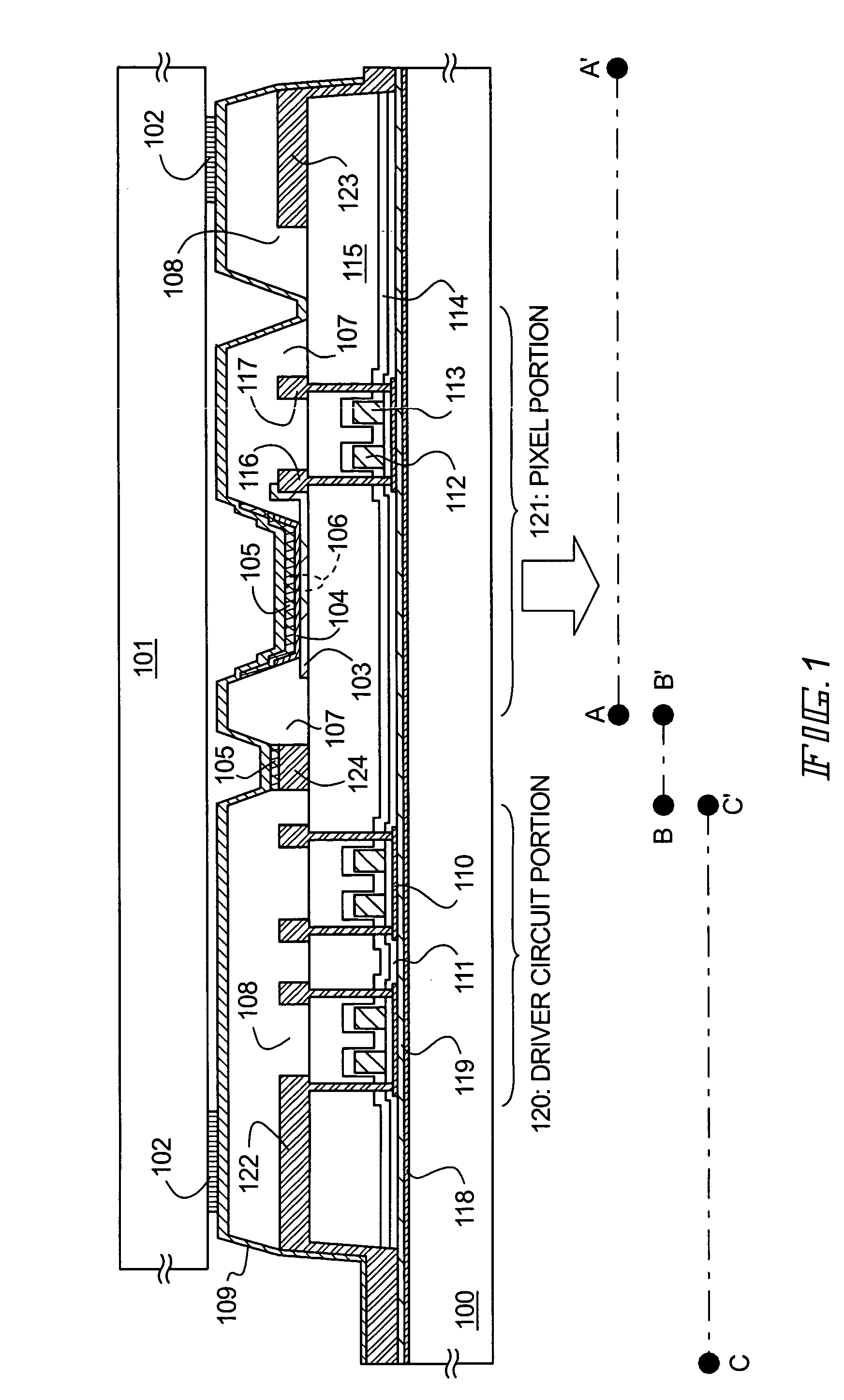 Display device with sealing structure for protecting organic light emitting element
