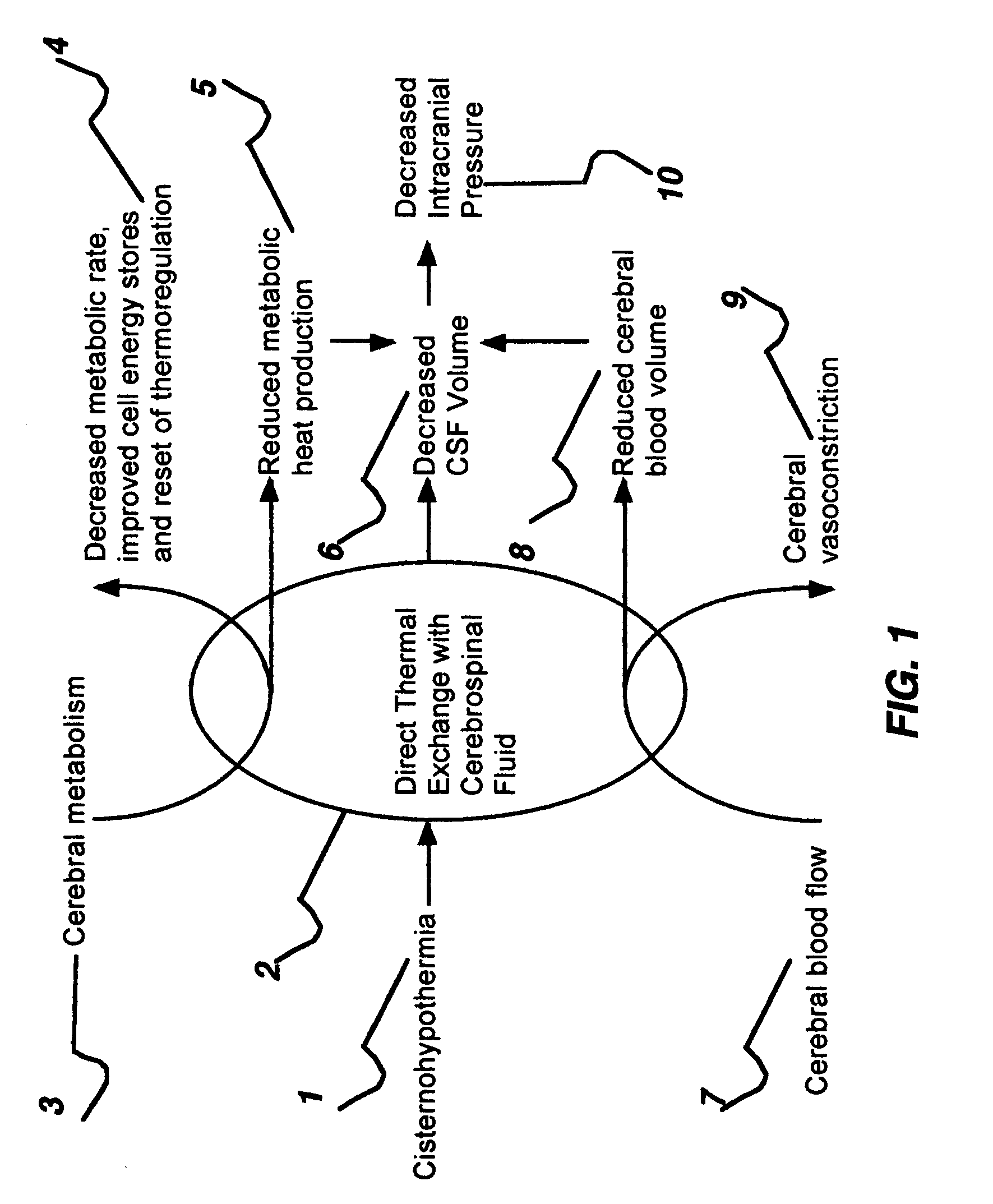Apparatus and method for hypothermia and rewarming by altering the temperature of the cerebrospinal fluid in the brain