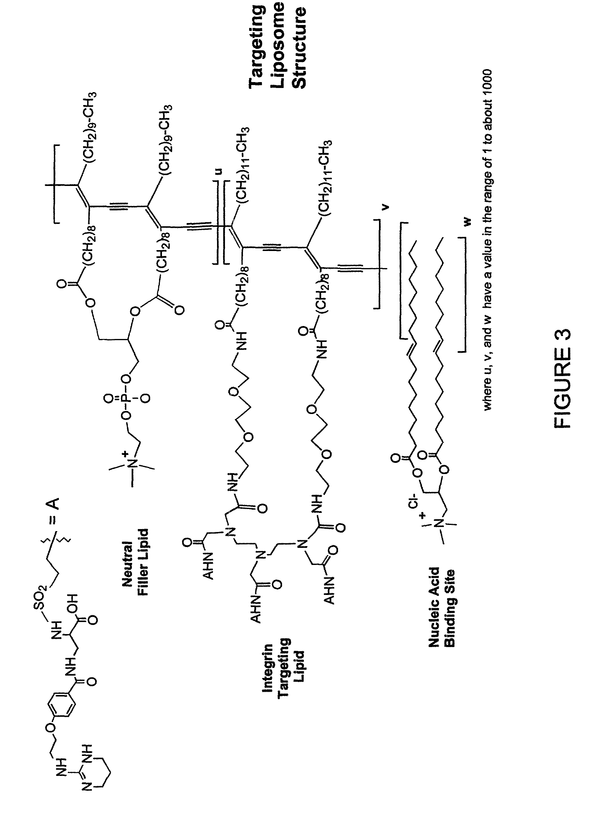 Delivery system for nucleic acids