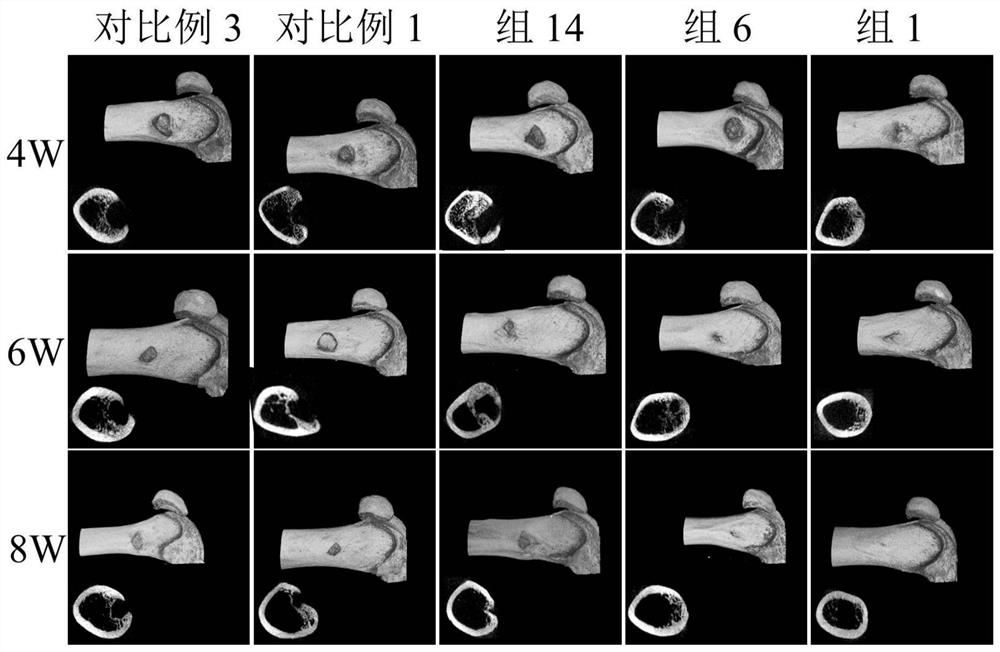 A kind of erosion-resistant osteoinductive silk fibroin/hydroxyapatite/magnesia gel sponge and its preparation method