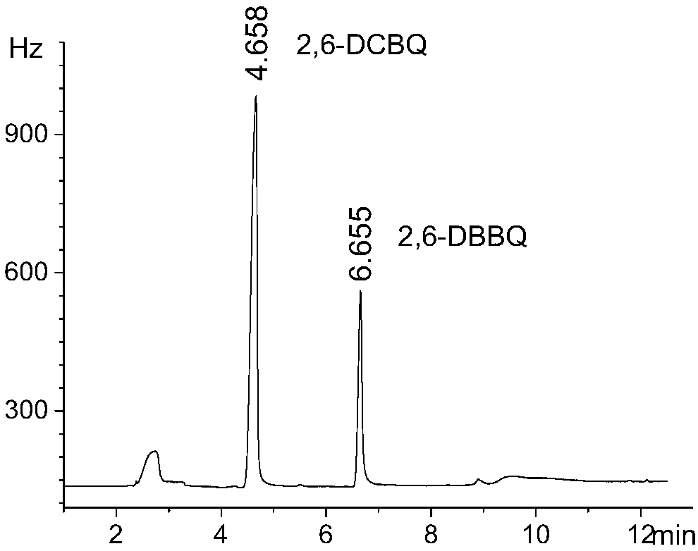 Detection method of gas chromatography-electron capture detector of halogenated benzoquinone