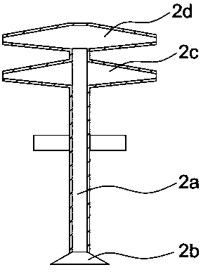 Wort boiling device based on circulation pump