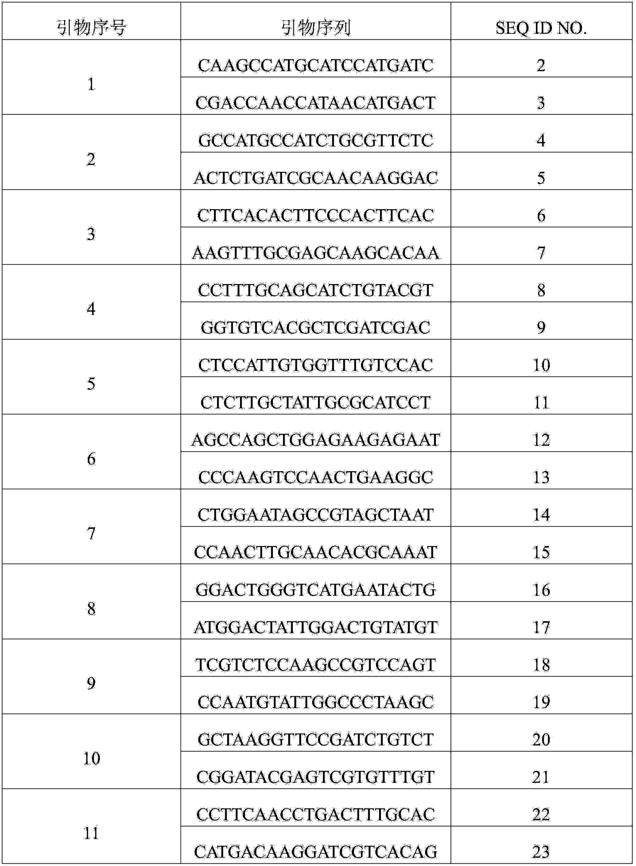 Molecular marker SIsv0163 closely linked to grain imazethapyr-resisting herbicide gene