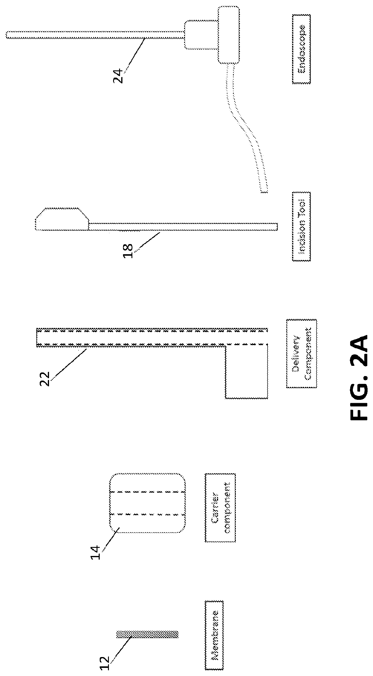 Tools for transurethral deployment and fixation of graft for the management and treatment of urethral strictures