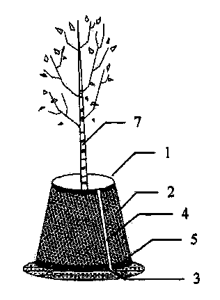 Method for controlling wind erosion of nursery stock bases in desert areas
