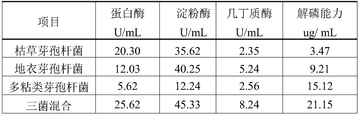 Chitosan and microorganism compound preparation as well as preparation method and application thereof