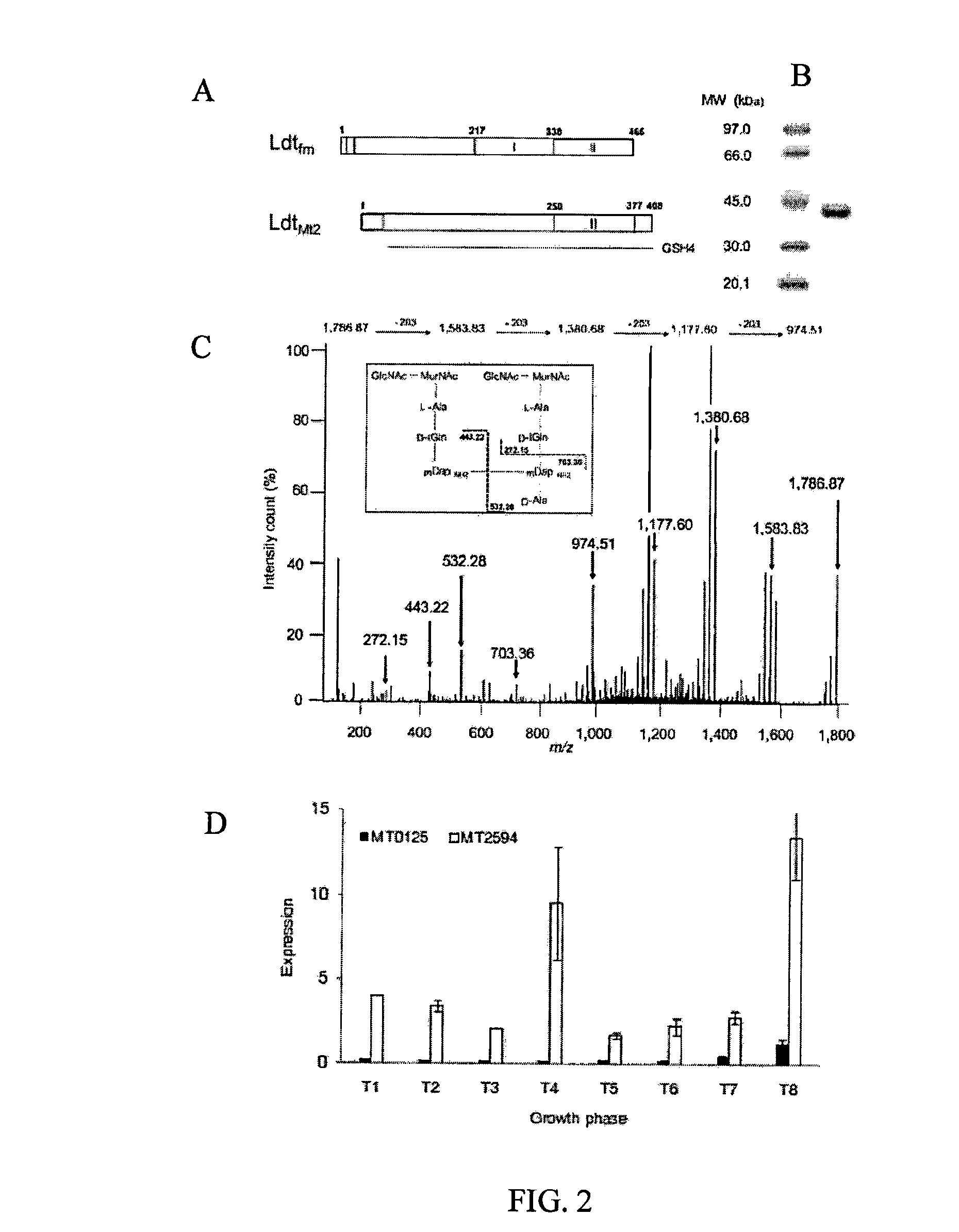 Methods for treatment of bacterial infections