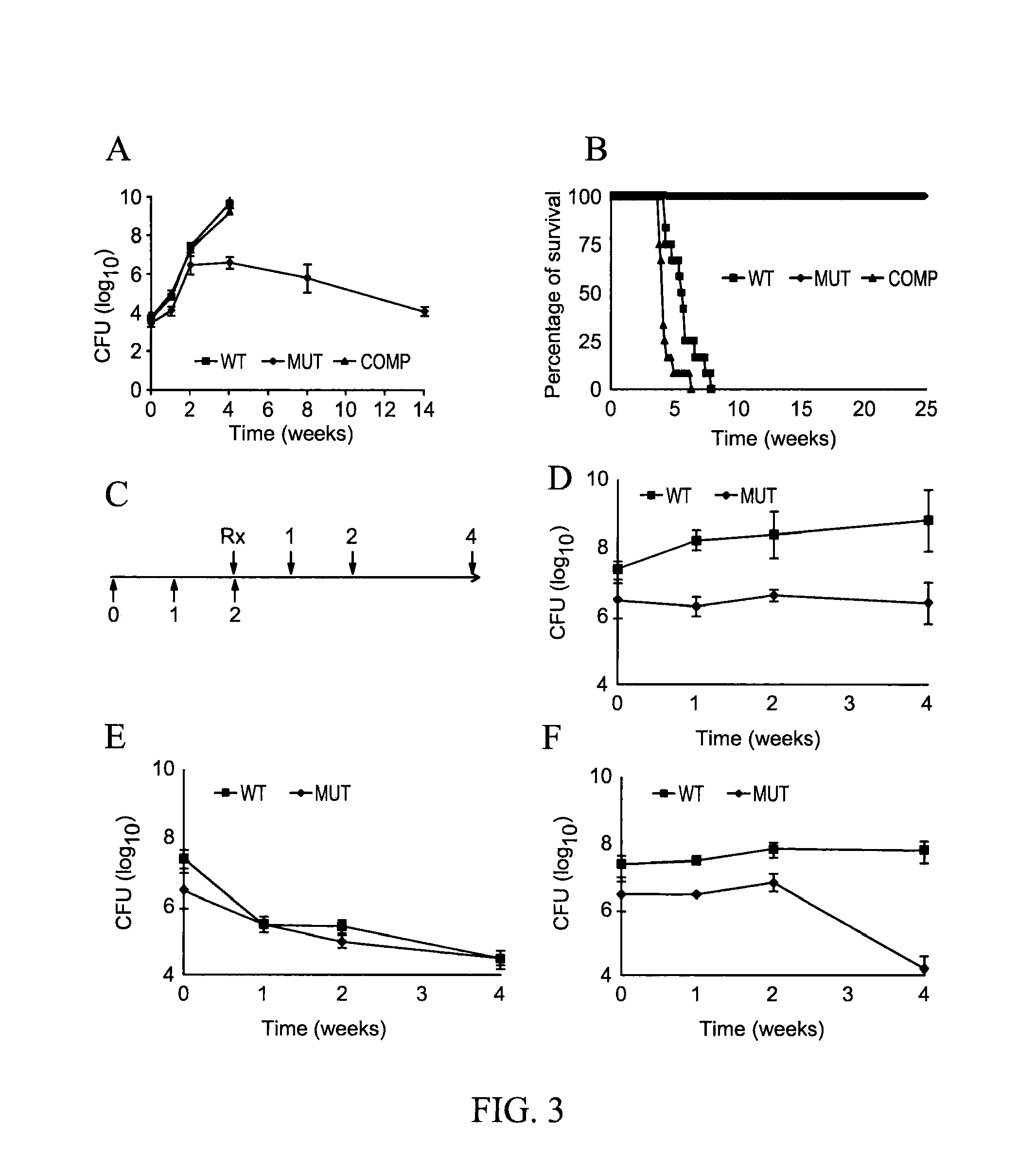 Methods for treatment of bacterial infections