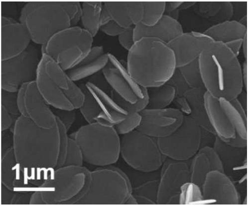 Technology for preparing two-dimensional MOF material by one-step solvothermal method